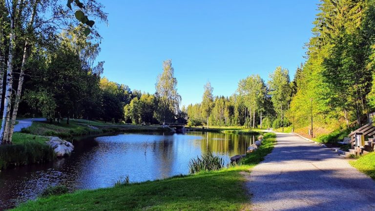 green trees beside river under blue sky during daytime